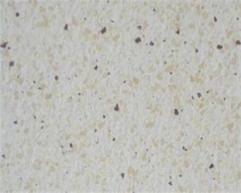 真石漆的使用環(huán)境和使用注意事項